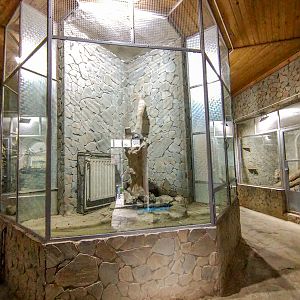 house of reptiles and birds