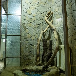 enclosure of red-tailed boa