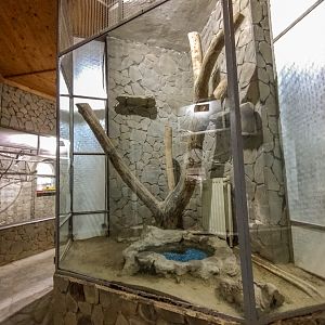 enclosure of ball python