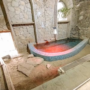 enclosure of spectacled caiman