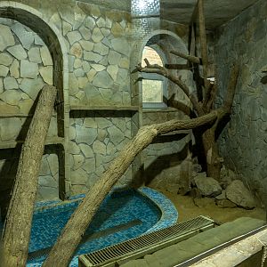 enclosure of reticulated python