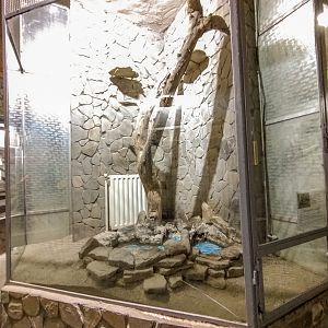 enclosure of common snapping turtle