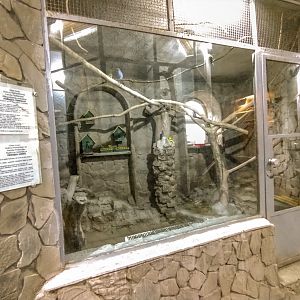 enclosure of budgerigar