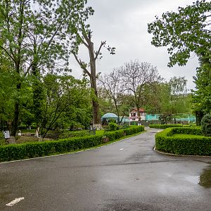 park