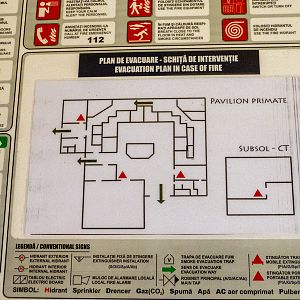 plan of the house of monkeys