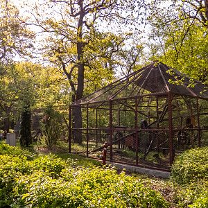 enclosure of monkeys