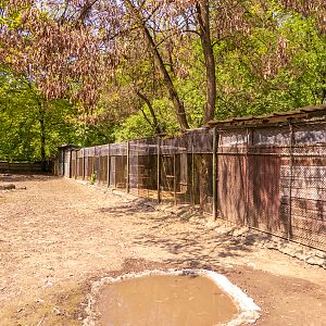 enclosure of australian animals