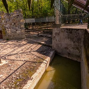 pre-enclosure of wolves