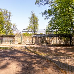 pre-enclosure of wolves