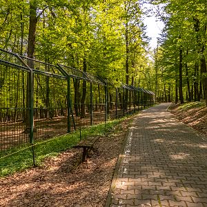 enclosure of wolves and bears