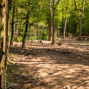 enclosure of wolves and bears