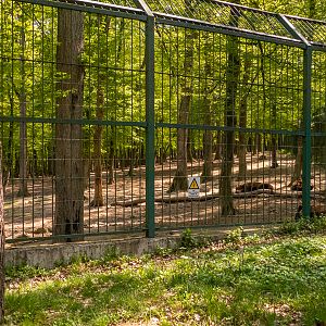 enclosure of wolves and bears
