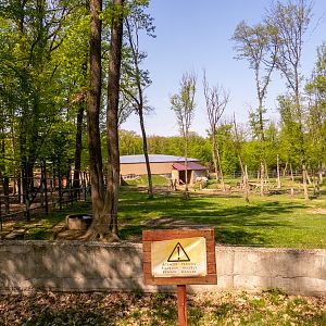 enclosure of elephants