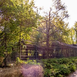 enclosure of birds of prey