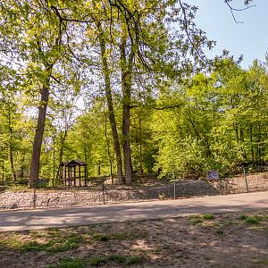 enclosure of ring-tailed lemur