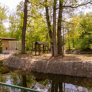 enclosure of ring-tailed lemur