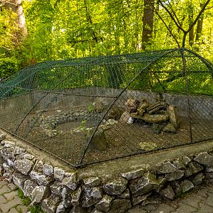 enclosure of tortoise