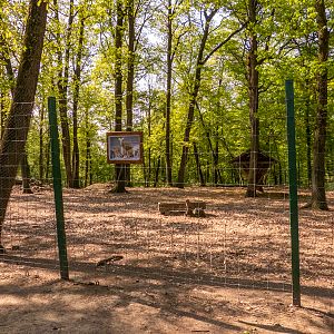 enclosure of Barbary sheep