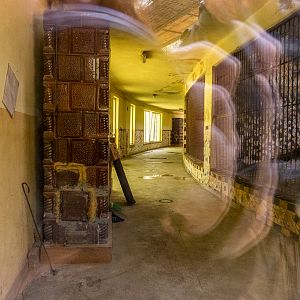 indoor enclosure of lions
