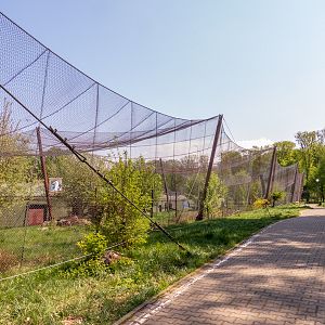 big cat house (and some other animals)