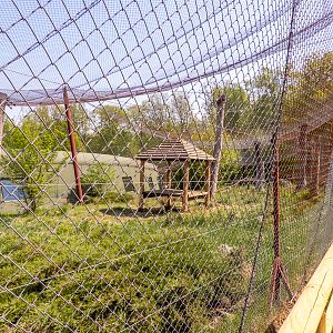 big cat house (and some other animals)