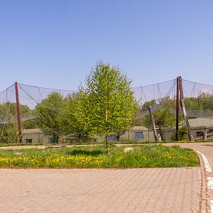 big cat house (and some other animals)