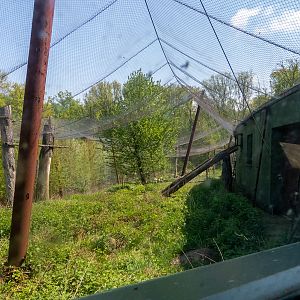 big cat house (and some other animals)