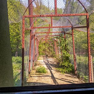big cat house (and some other animals)