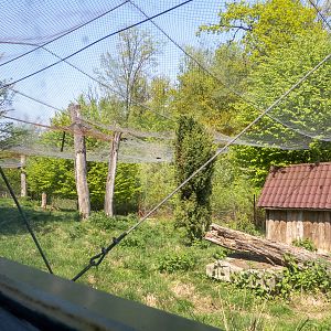 big cat house (and some other animals)