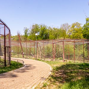big cat house (and some other animals)