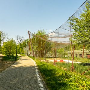 big cat house (and some other animals)