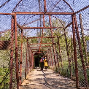 big cat house (and some other animals)