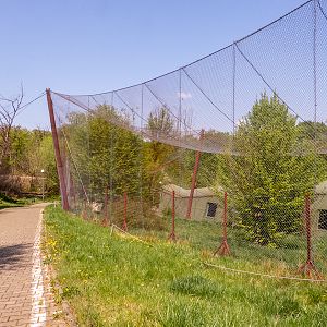 big cat house (and some other animals)