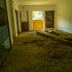 big cat house (and some other animals)