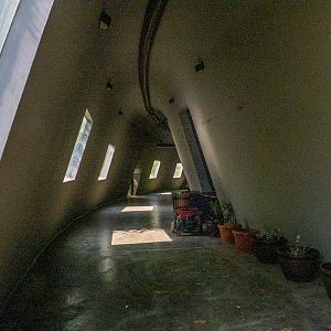 big cat house (and some other animals)