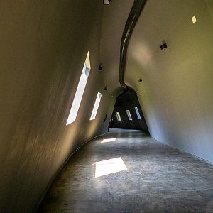 big cat house (and some other animals)