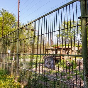 enclosure of tigers #2