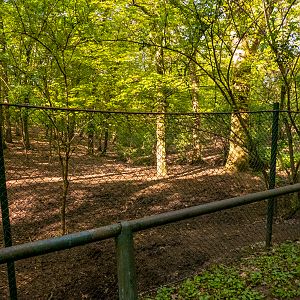 enclosure of ostrich