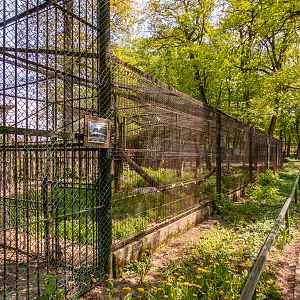 enclosure of raccoon and coatis