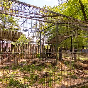 enclosure of raccoon and coatis