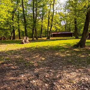 enclosure of european bison