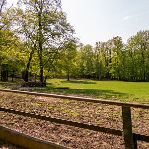 enclosure of european bison