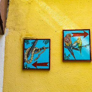 sign of reptiles and birds