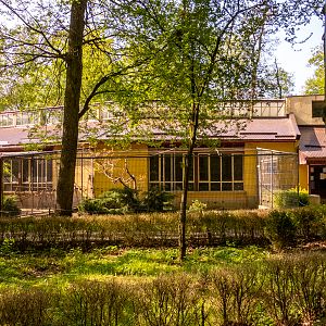 house of aquarium, birds and reptiles