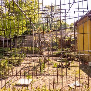 enclosure of the house of aquarium, birds and reptiles