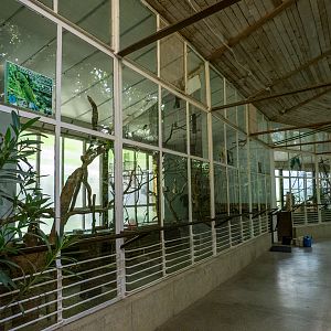 enclosures of bird house