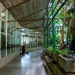 enclosures of bird house
