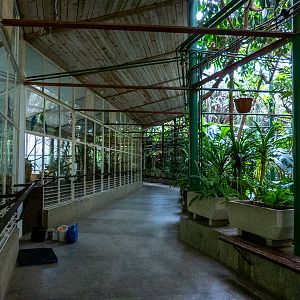 enclosures of bird house