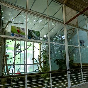 enclosures of bird house