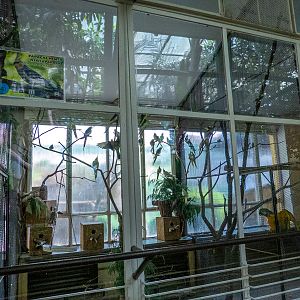 enclosures of bird house